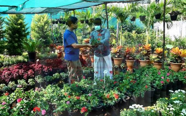 The Business Of Gardening Continues To Bloom Across India Amid The Pandemic As First Time Gardeners Find Comfort In Nurturing Plants And Growing Their Own Food At Home Nurseries Across The Country Bolster - How To Start A Plant Business Philippines