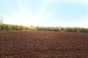 UNDERSTANDING AGRICULTURAL LAND VALUATION